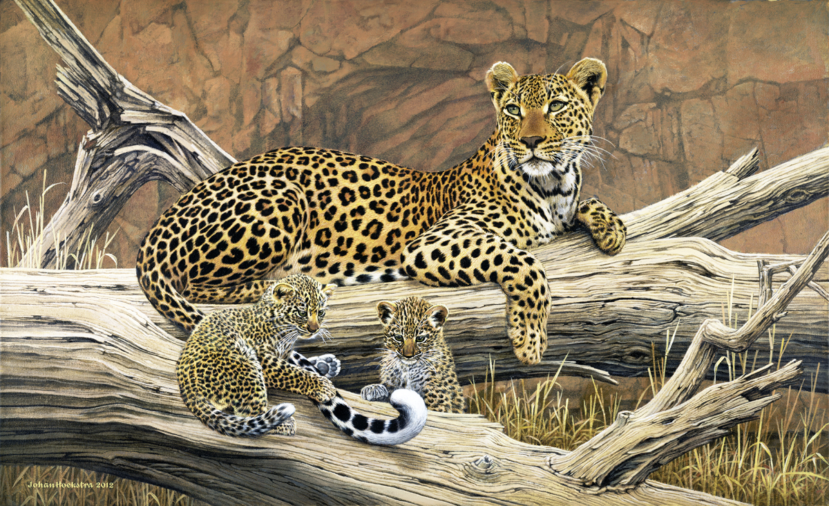 Leopard 2