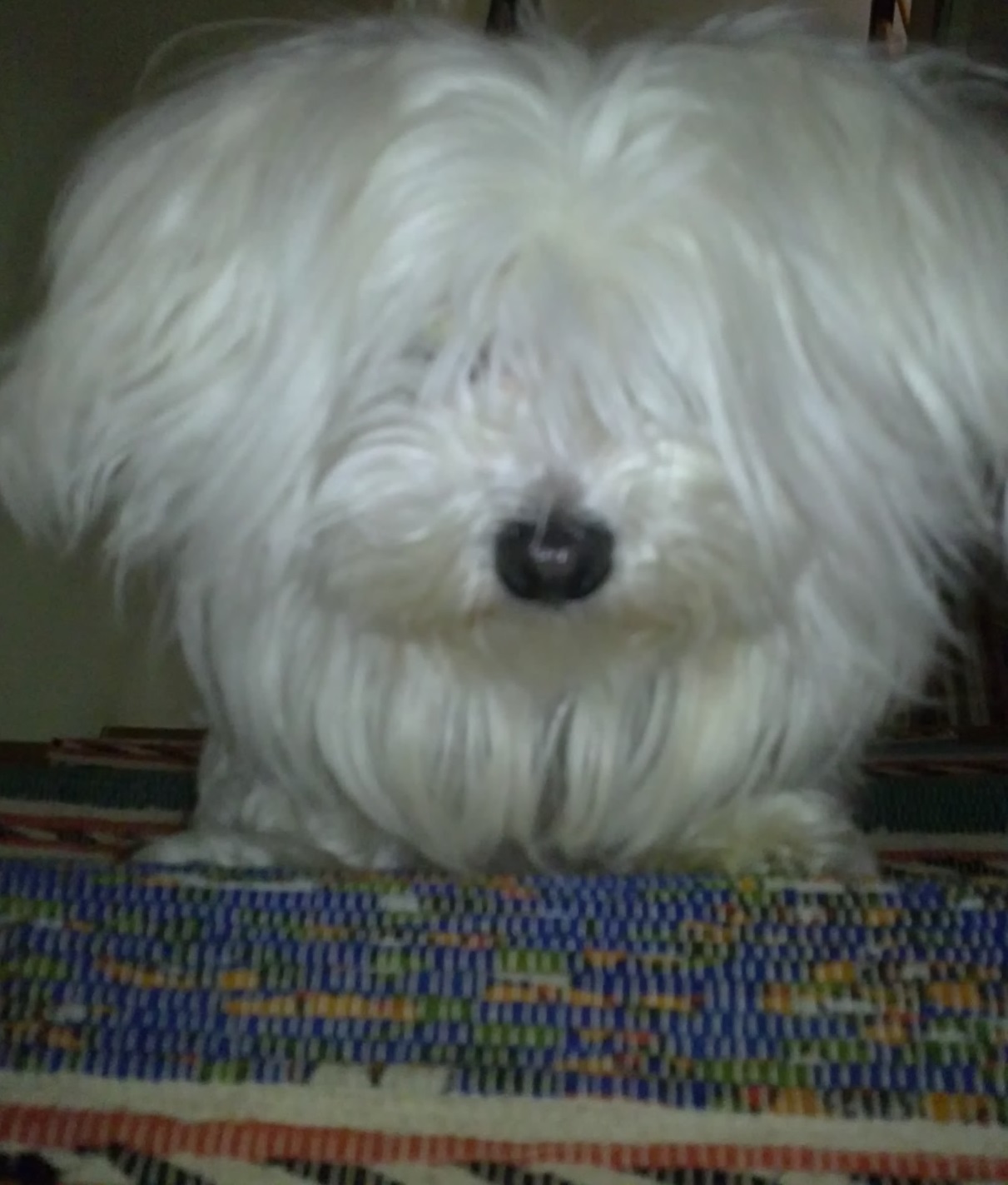 Nensy 1