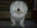 Nensy 2